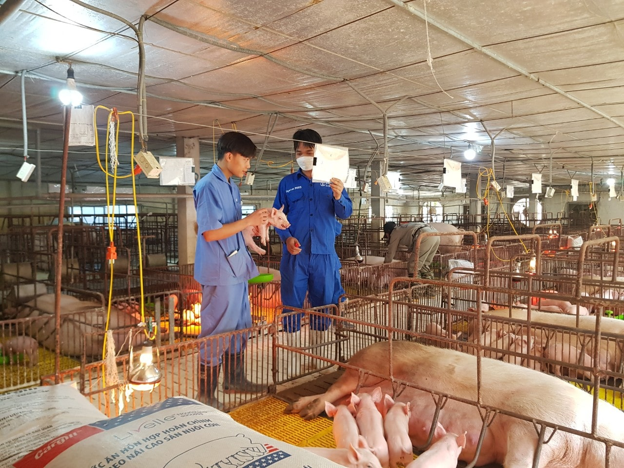 CỬA HÀNG THUỐC THÚ Y KIM LIÊN