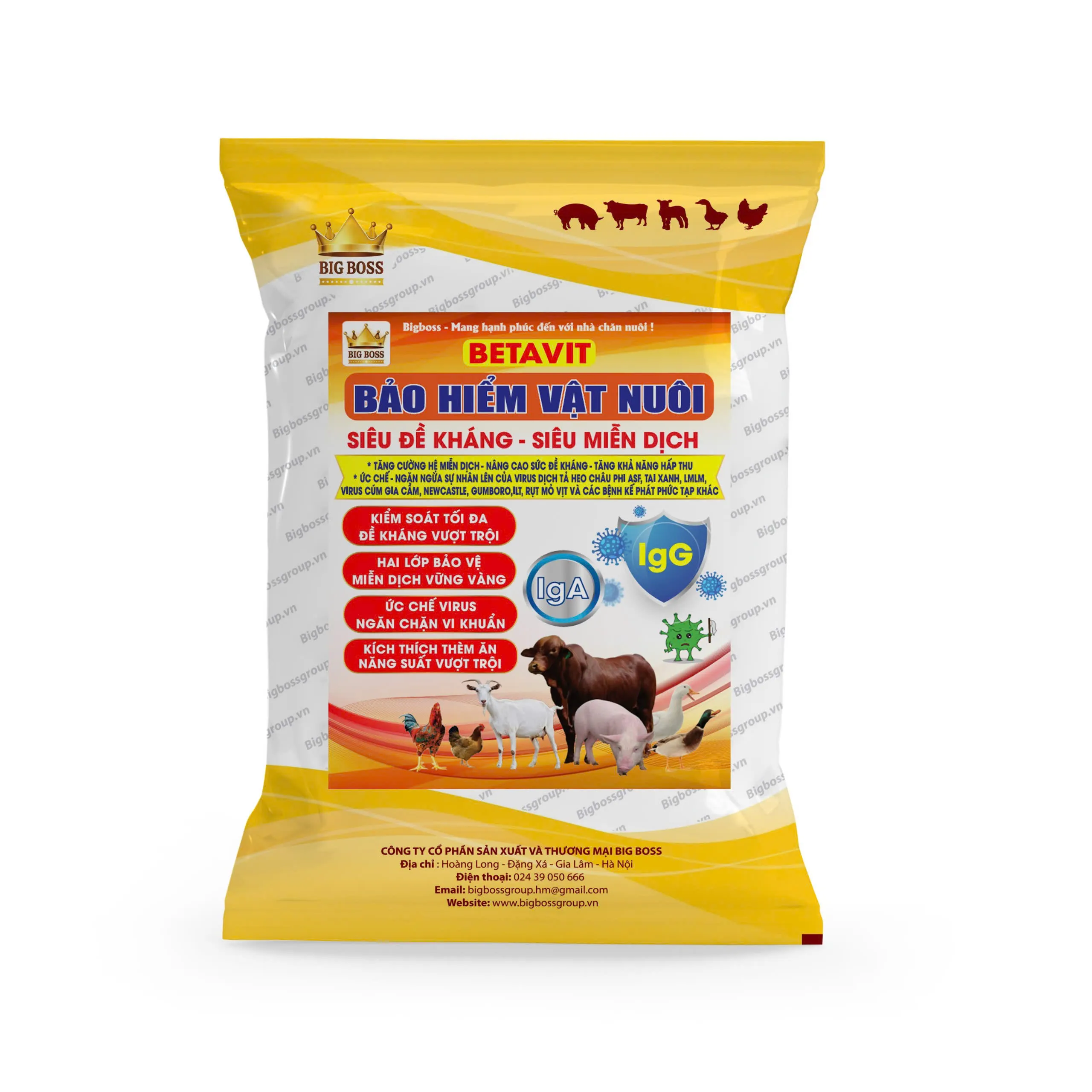 Thuốc thú y Bến Cát - Giải pháp chăm sóc sức khỏe vật nuôi toàn diện tại thị trường địa phương