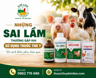 Những Sai Lầm Thường Gặp Khi Sử Dụng Thuốc Thú Y Và Cách Khắc Phục Hiệu Quả