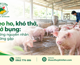 Heo ho, khó thở, thở bụng: Những nguyên nhân thường gặp
