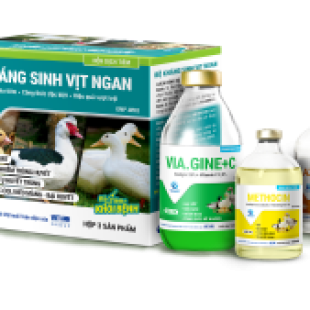 BỘ KHÁNG SINH VỊT NGAN (3 SẢN PHẨM)