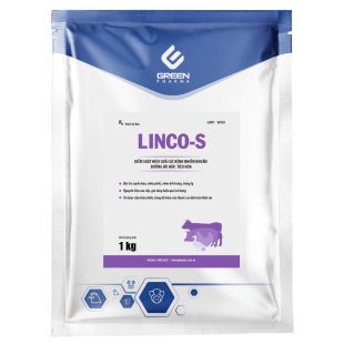 LINCO-S