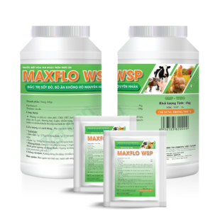 MAXFLO WSP