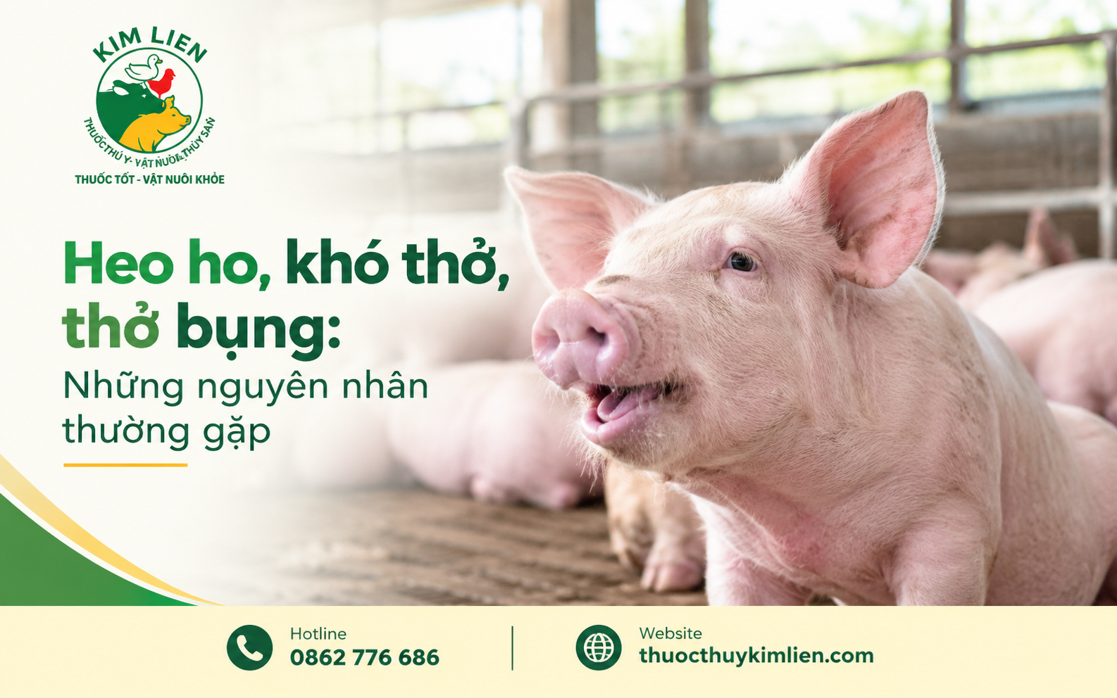 Thở bụng, thở gắng sức là dấu hiệu cần đặc biệt lưu ý và đánh giá nguyên nhân sớm